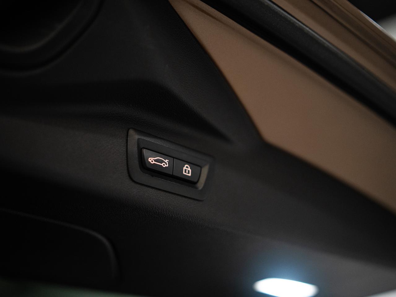 12560036