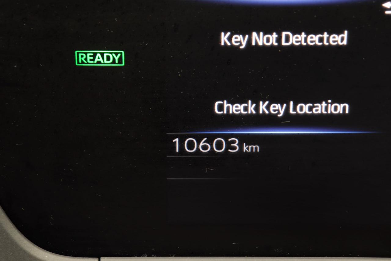 12560042