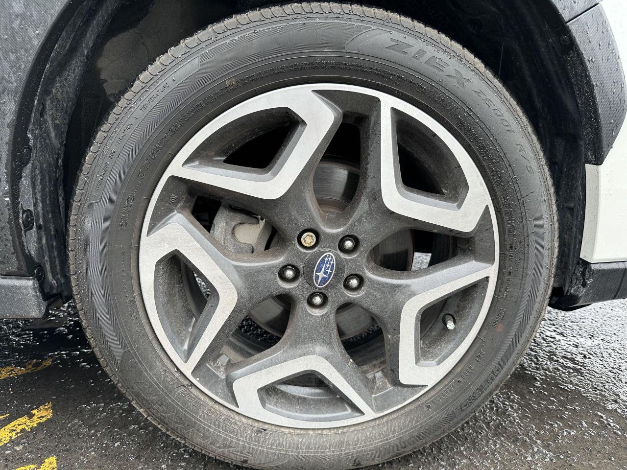 12560045