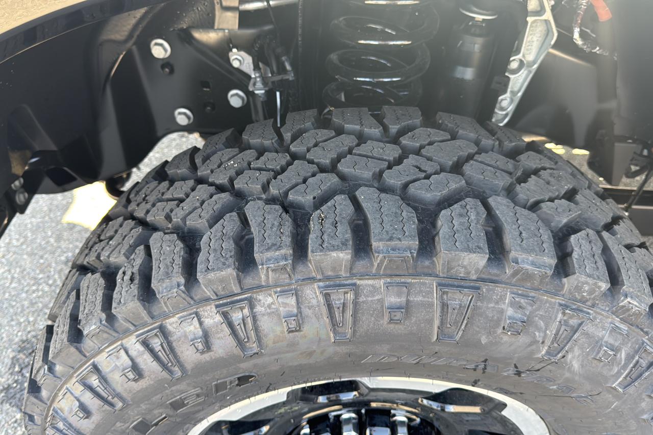 2025 Ford F-350 Super Duty Platinum Photo5