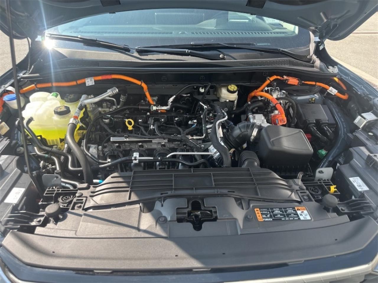 2025 Ford Escape PHEV  - 360 Camera Photo5