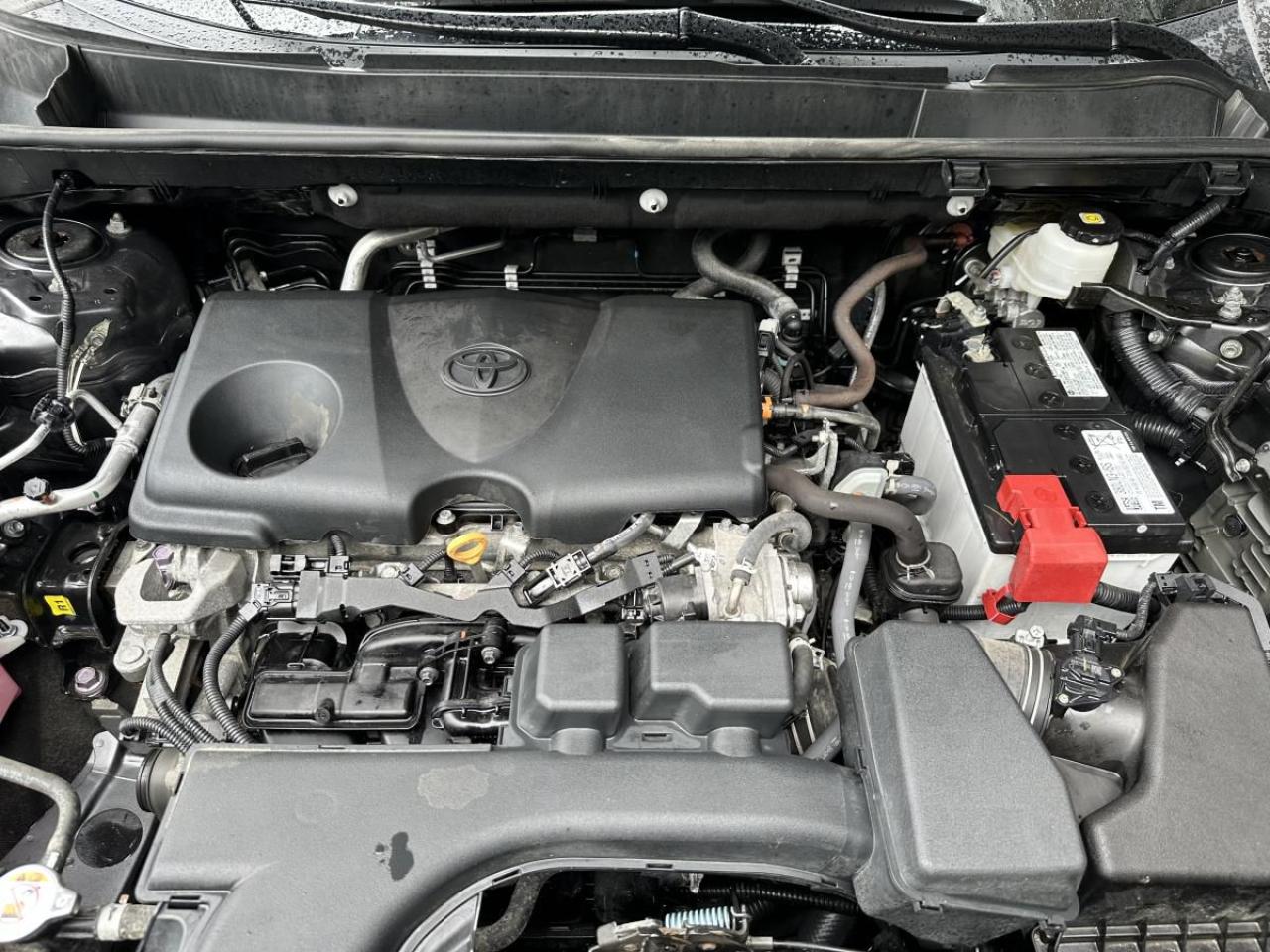 12561215