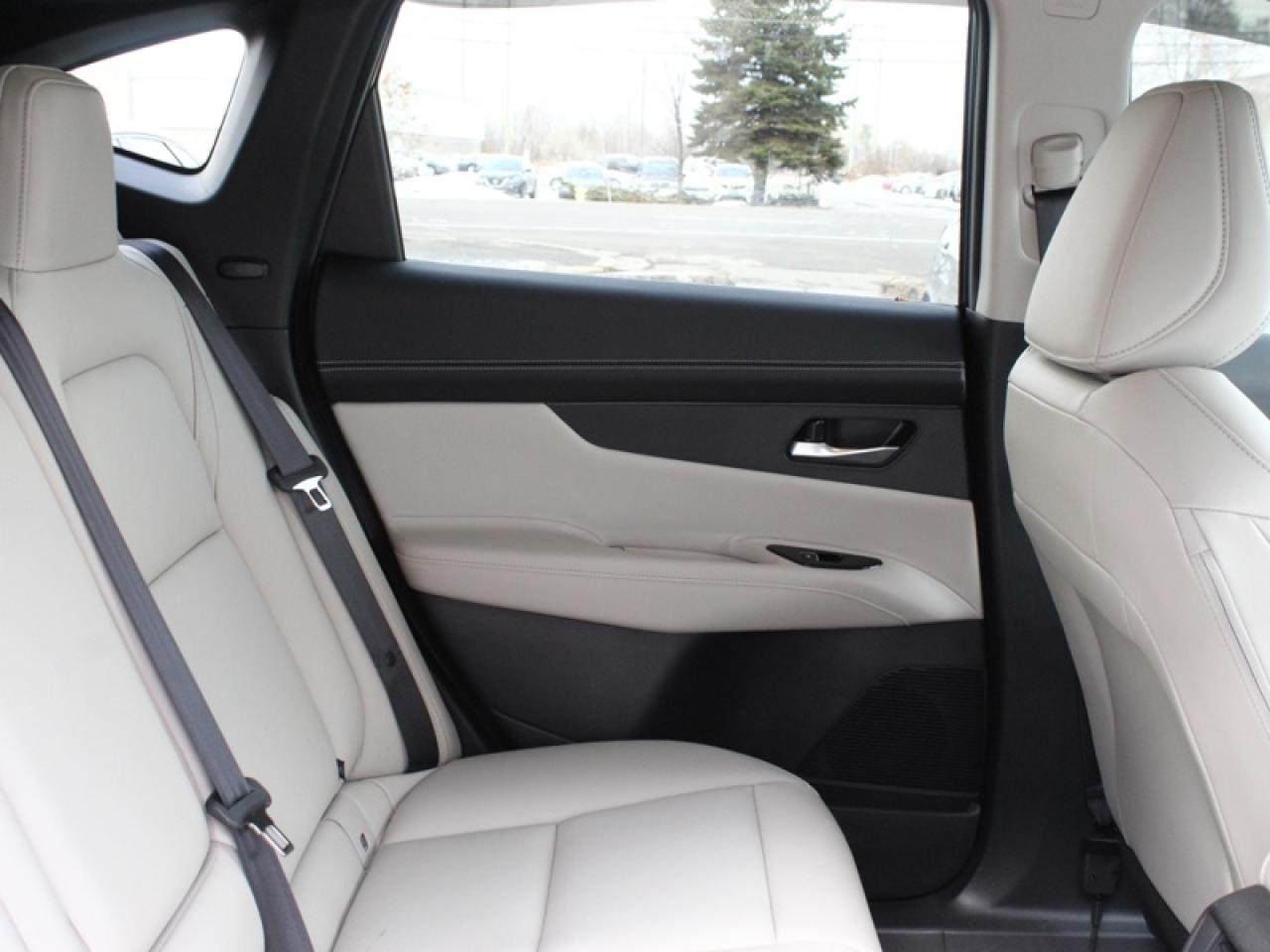 2025 Nissan Murano SL  - Leather Seats -  Moonroof Photo