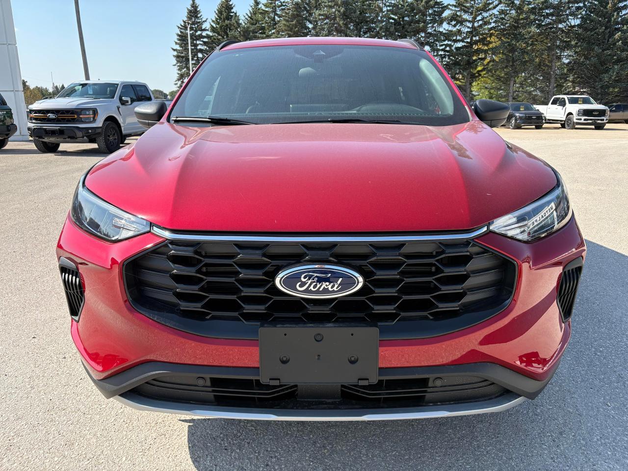2025 Ford Escape ST-Line AWD Photo