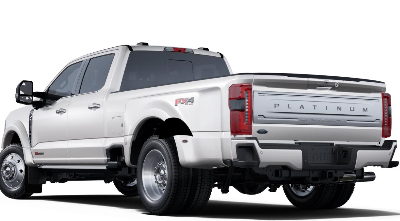 2025 Ford F-450 Super Duty DRW PLATINUM 4WD CREW CAB 8' BOX Photo