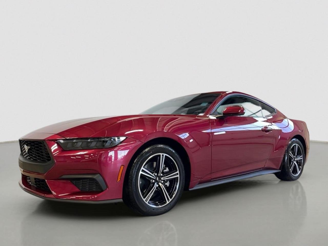 New 2025 Ford Mustang EcoBoost Fastback for sale in Moose Jaw, SK