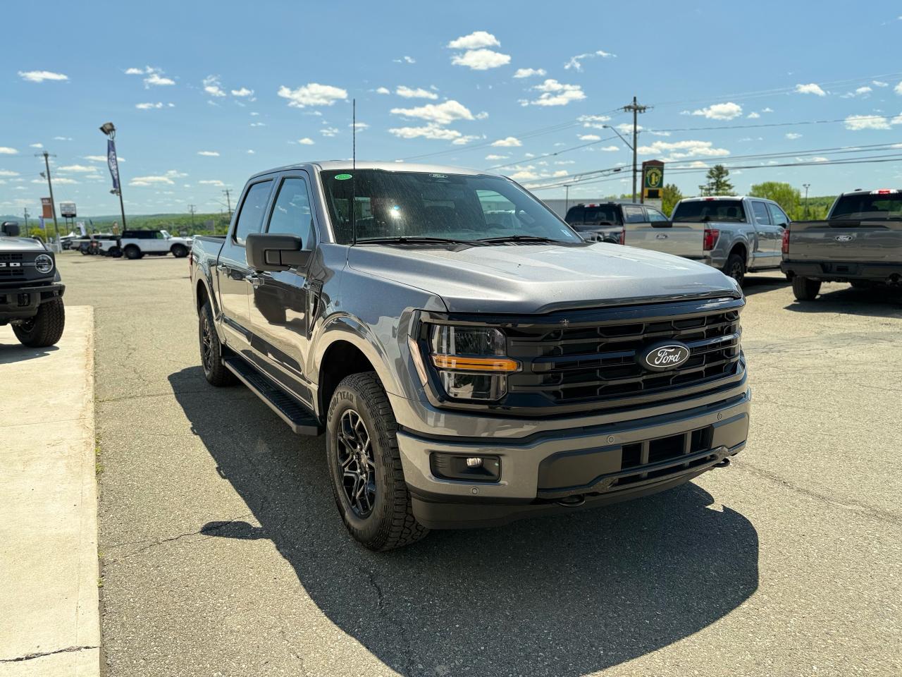 2025 Ford F-150  Photo1