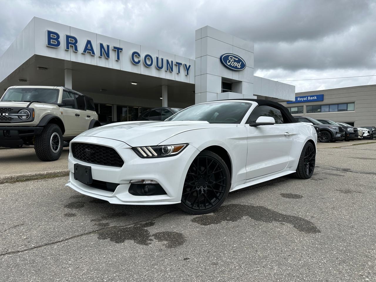 Used 2017 Ford Mustang V6 | CONVERTIBLE | AUTO | 50735 KMS for sale in Brantford, ON