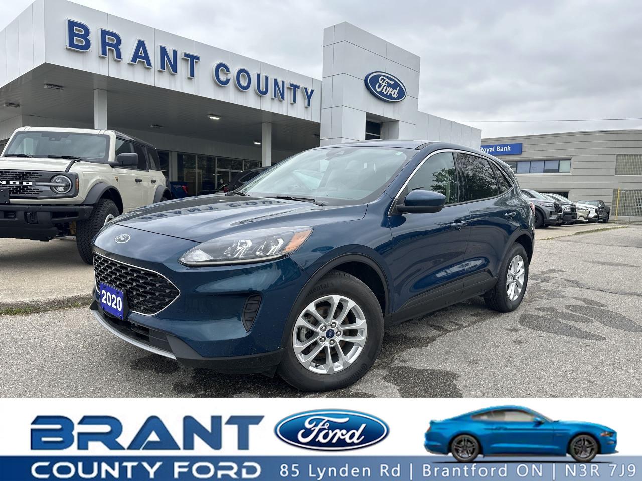 Used 2020 Ford Escape SE for sale in Brantford, ON