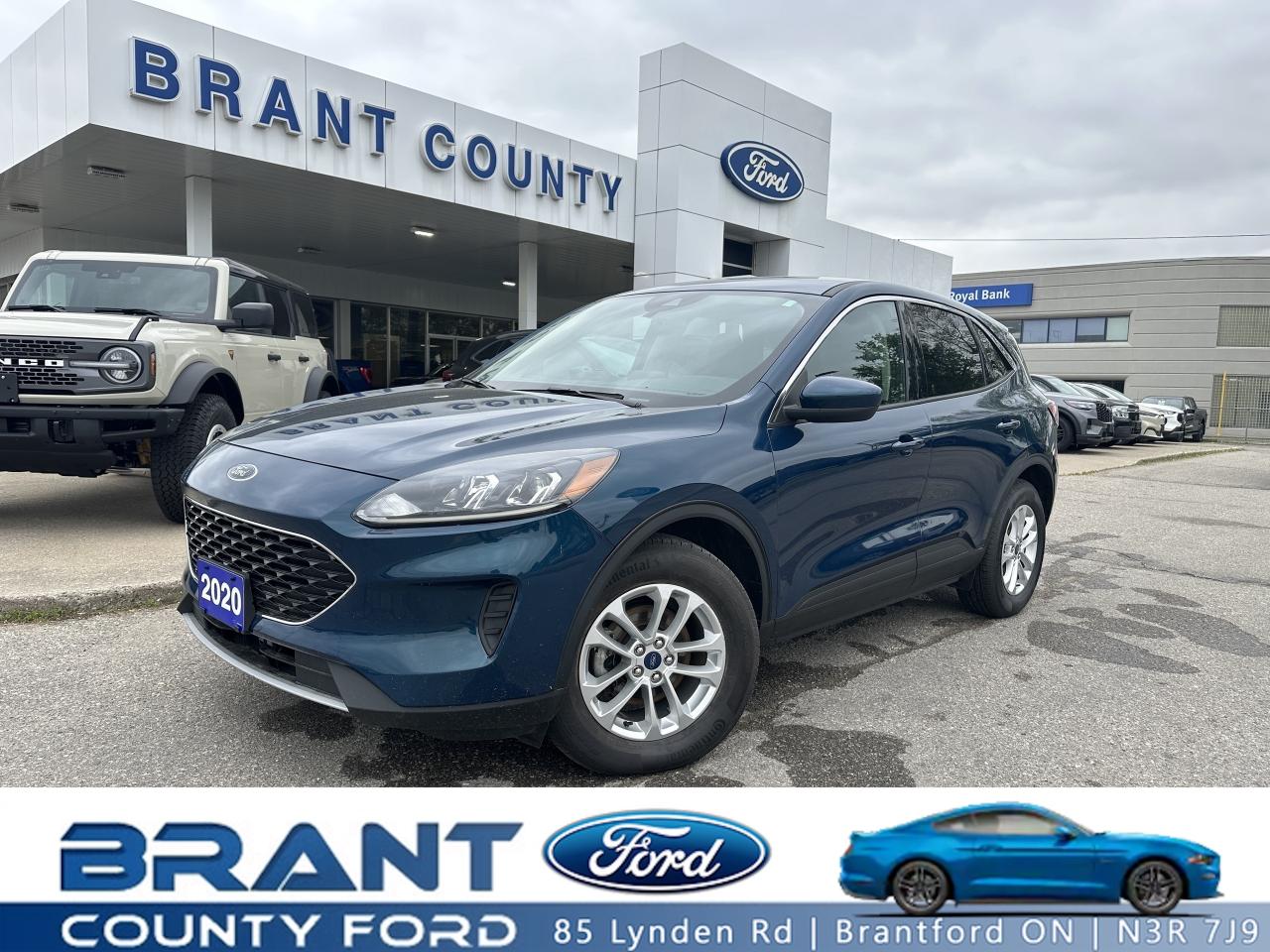 Used 2020 Ford Escape SE for sale in Brantford, ON