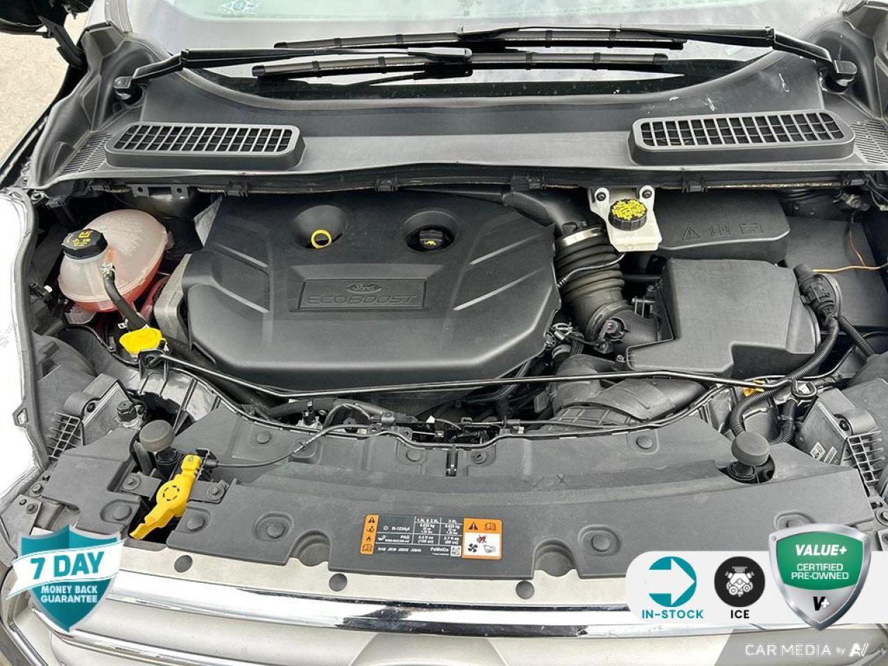 12562976