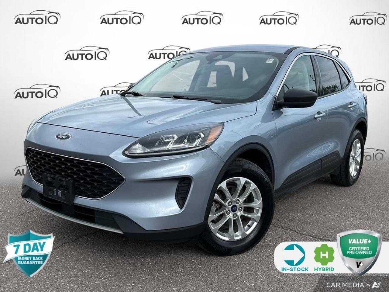 Used 2022 Ford Escape SE Hybrid 201A for sale in Oakville, ON