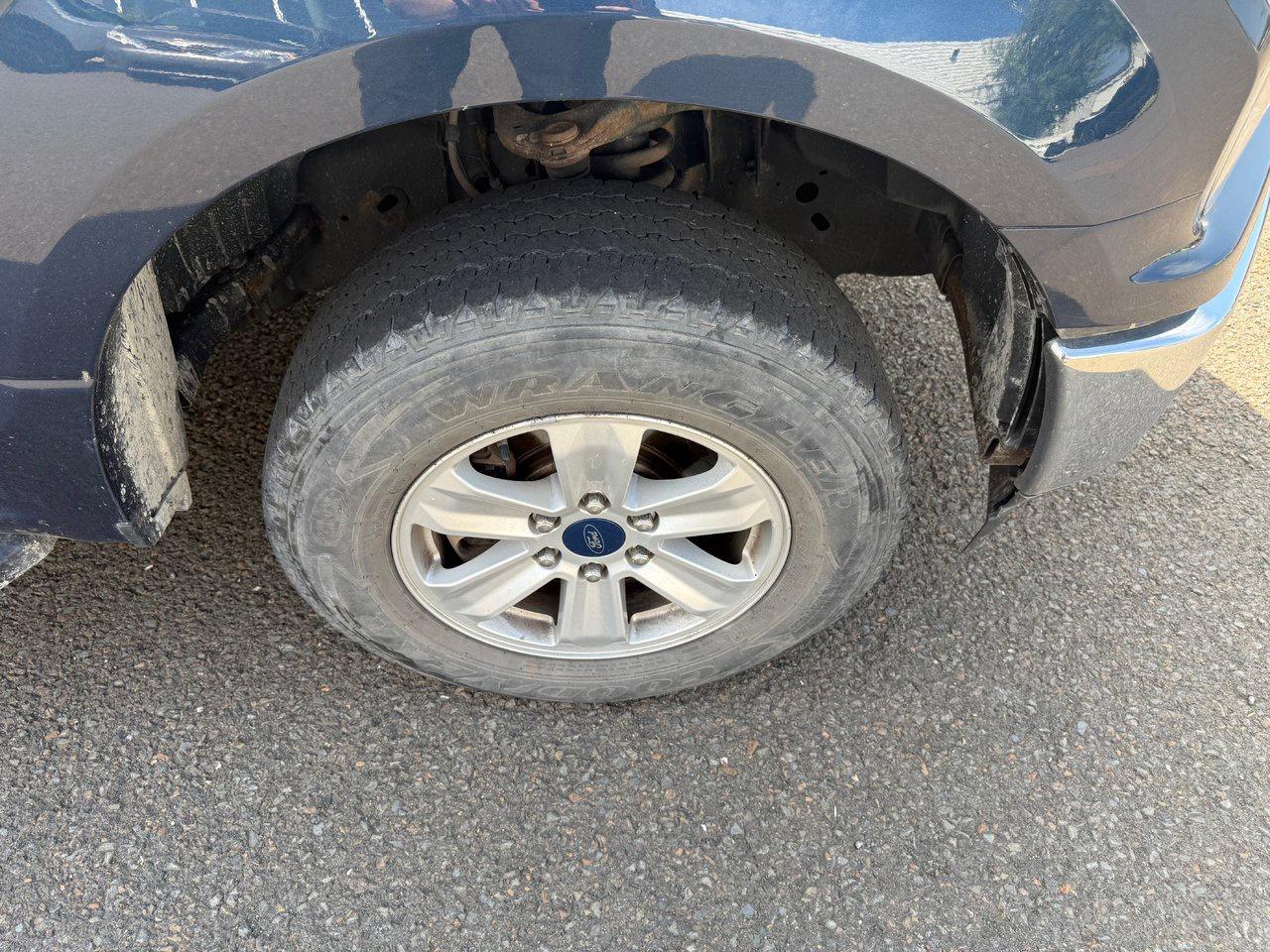 2019 Ford F-150  Photo3