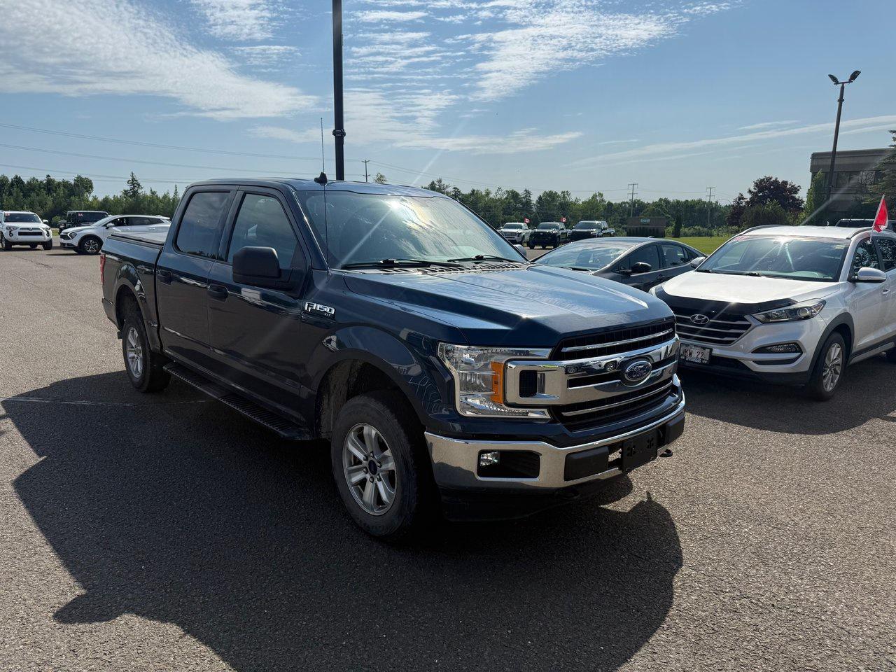 2019 Ford F-150  Photo2
