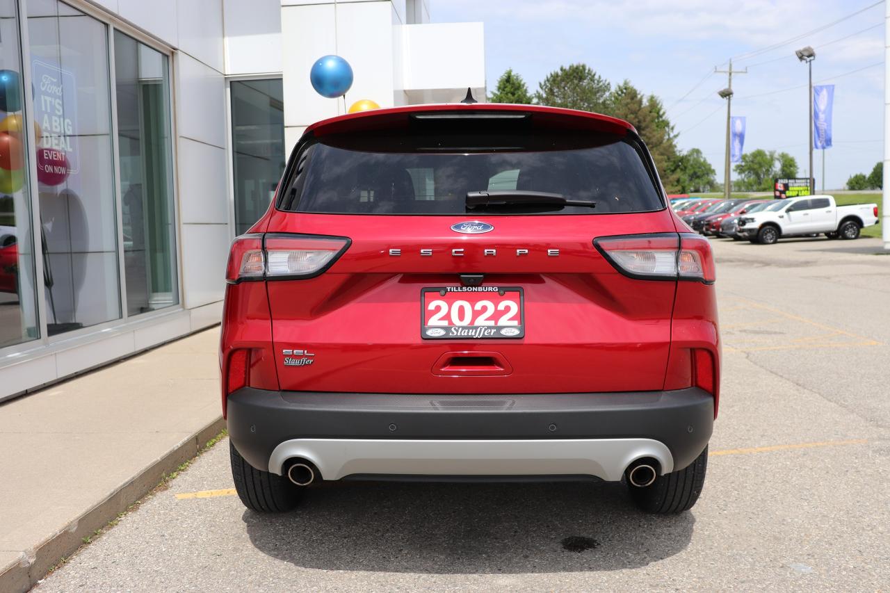 2022 Ford Escape SEL FWD Photo