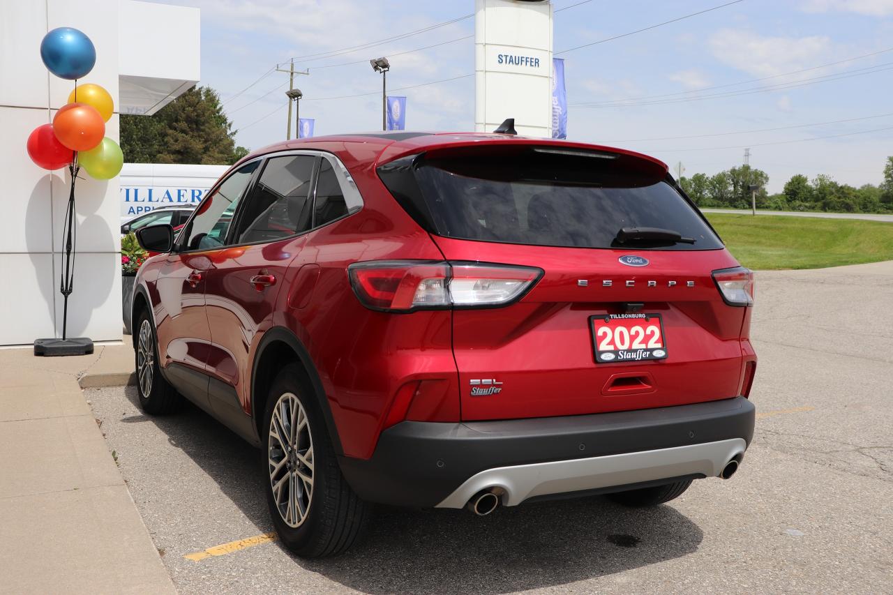 2022 Ford Escape SEL FWD Photo