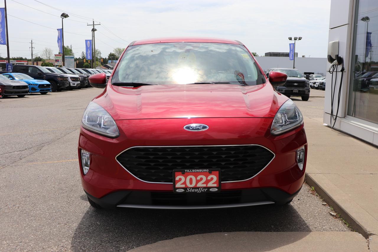 2022 Ford Escape SEL FWD Photo4