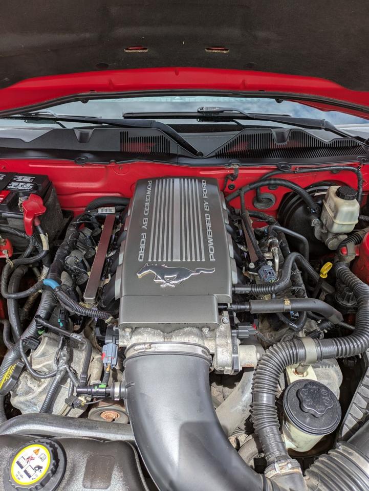 2010 Ford Mustang GT - Photo #17