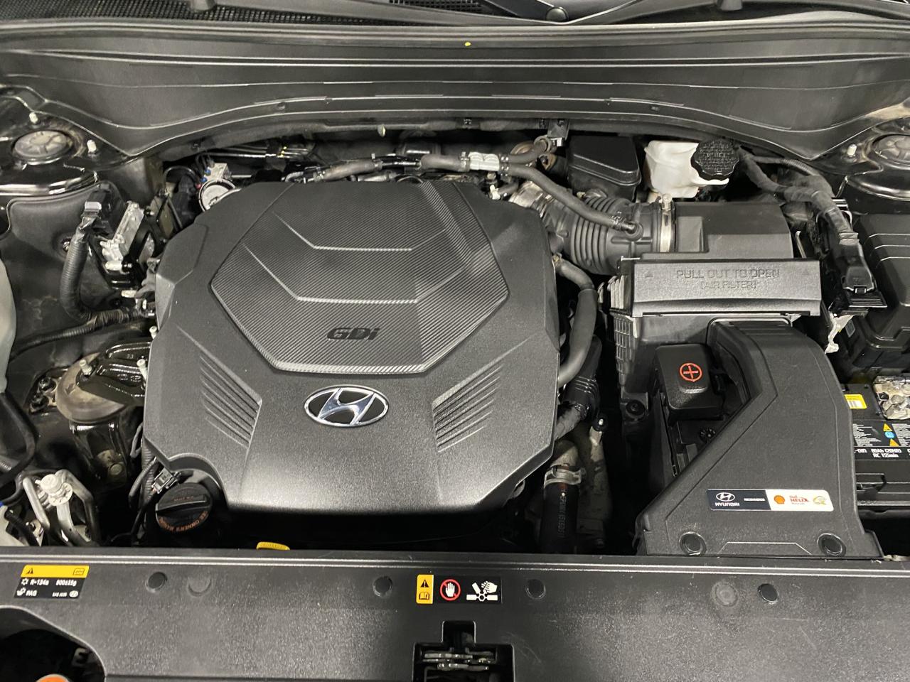 2020 Hyundai PALISADE ULTIMATE - Photo #9