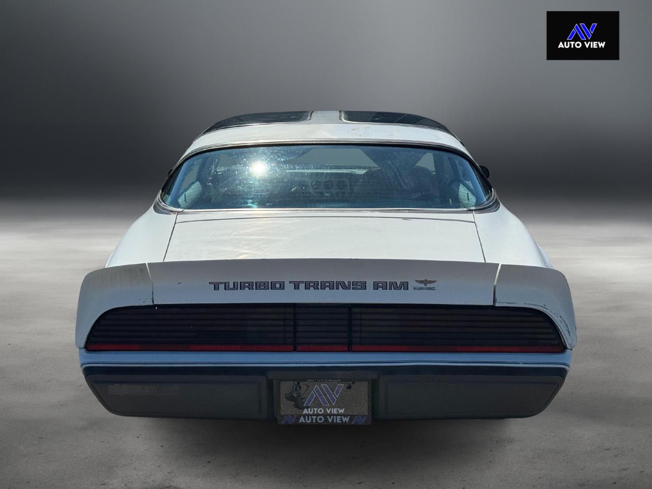 1980 Pontiac Trans Am **PACE CAR EDITION** - Photo #6