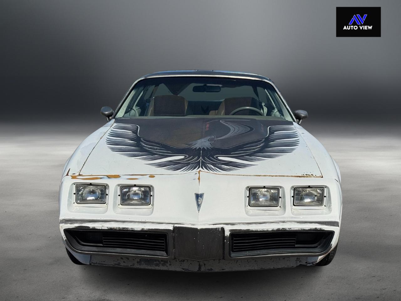 1980 Pontiac Trans Am **PACE CAR EDITION** - Photo #2