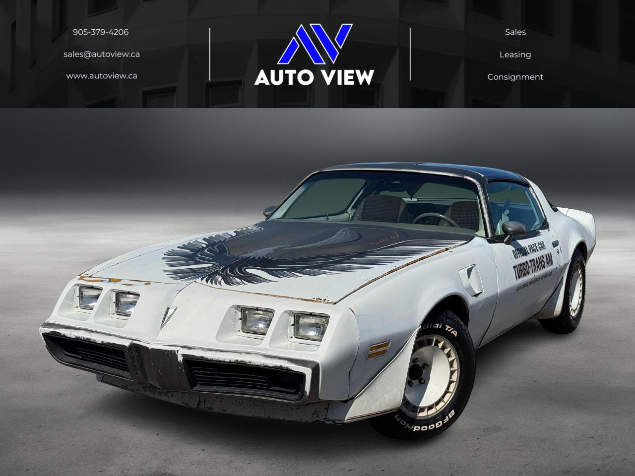 Used 1980 Pontiac Trans Am **PACE CAR EDITION** for sale in Stoney Creek, ON