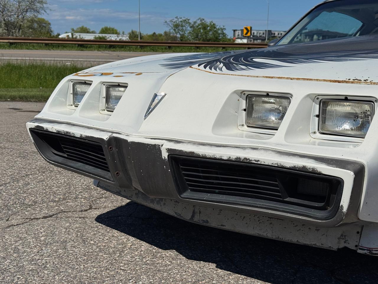 1980 Pontiac Trans Am **PACE CAR EDITION** - Photo #10