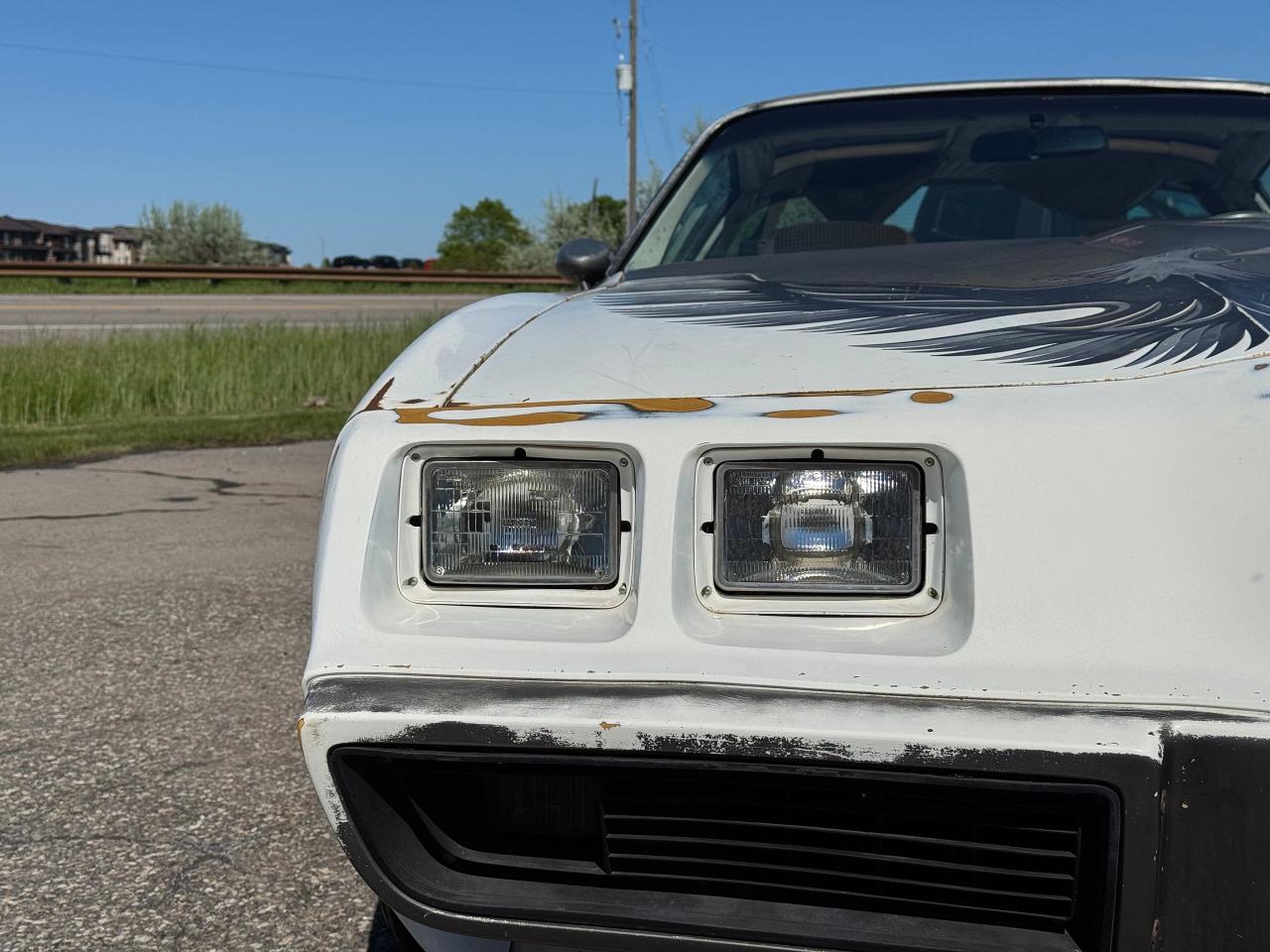 1980 Pontiac Trans Am **PACE CAR EDITION** - Photo #11
