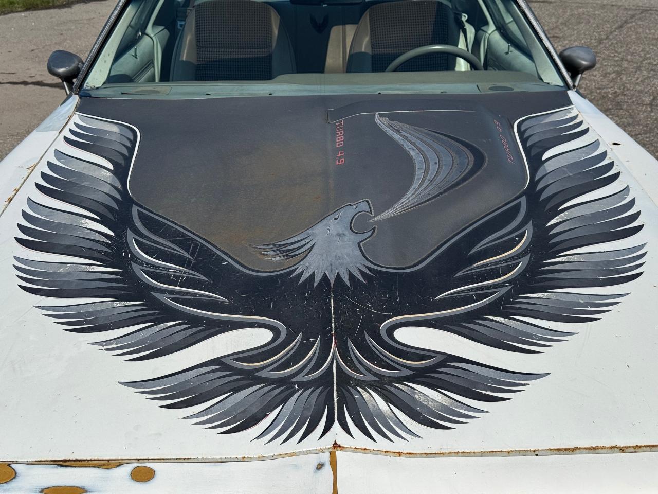 1980 Pontiac Trans Am **PACE CAR EDITION** - Photo #12