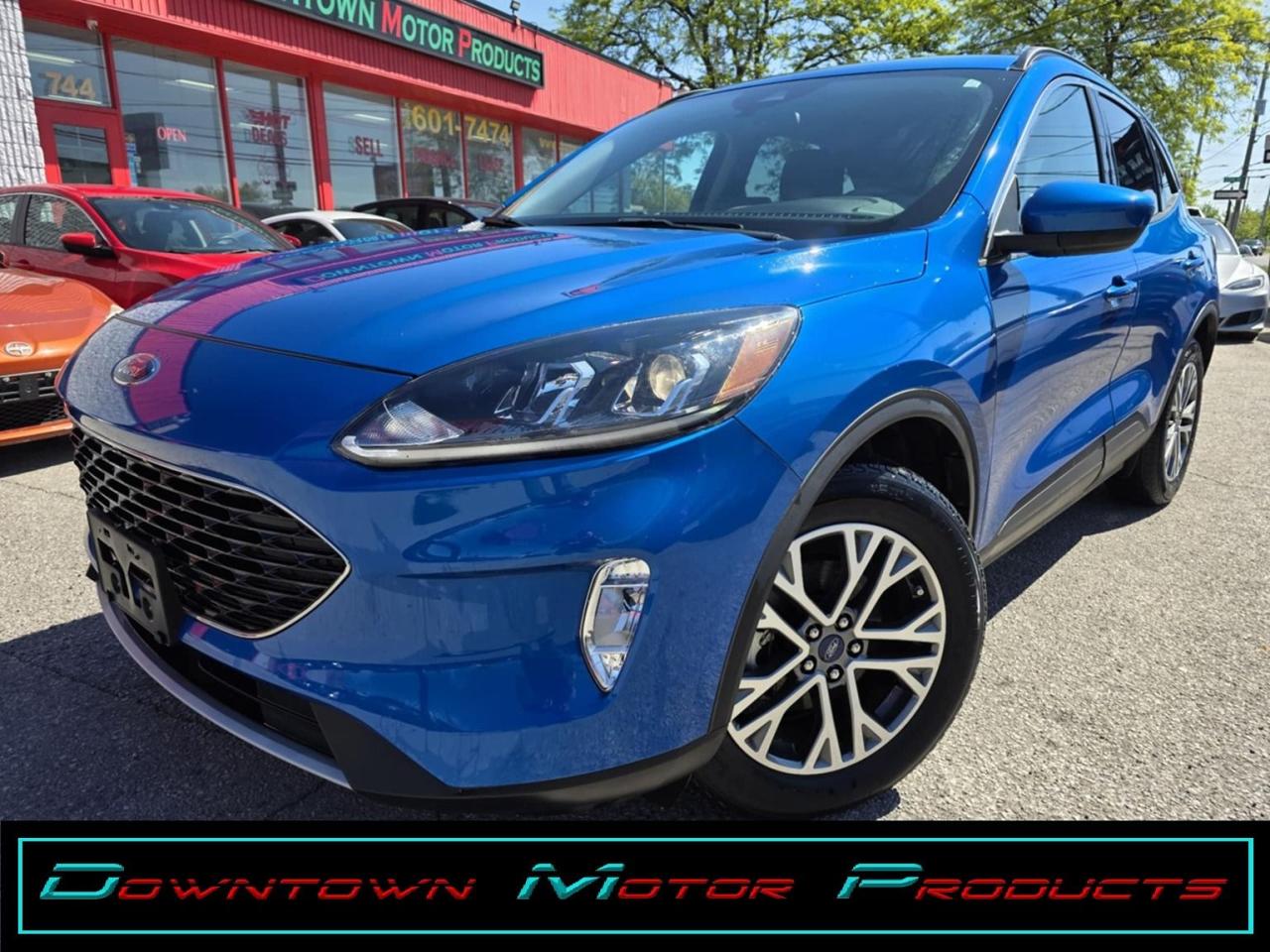 Used 2020 Ford Escape SEL AWD for sale in London, ON
