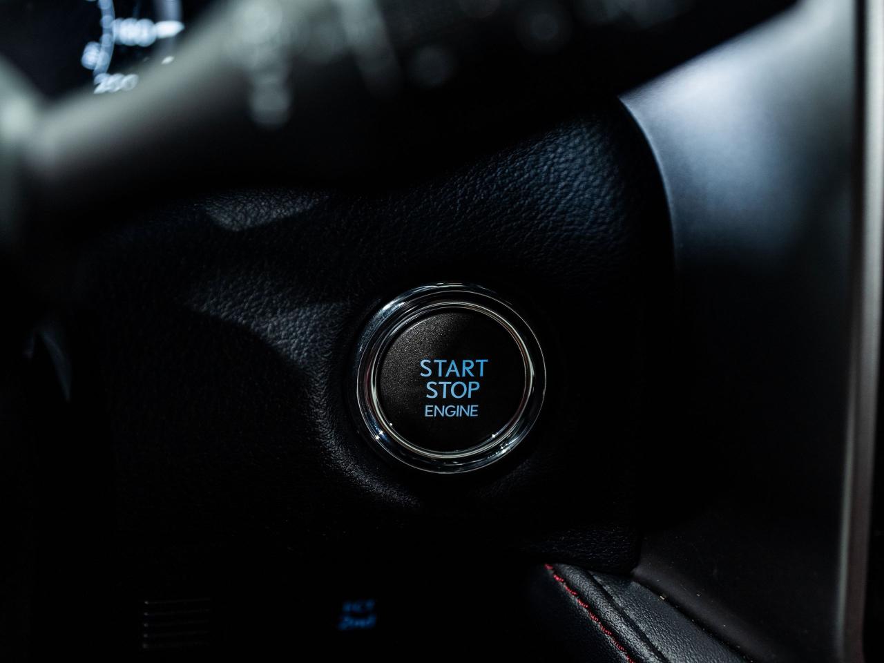 12567404