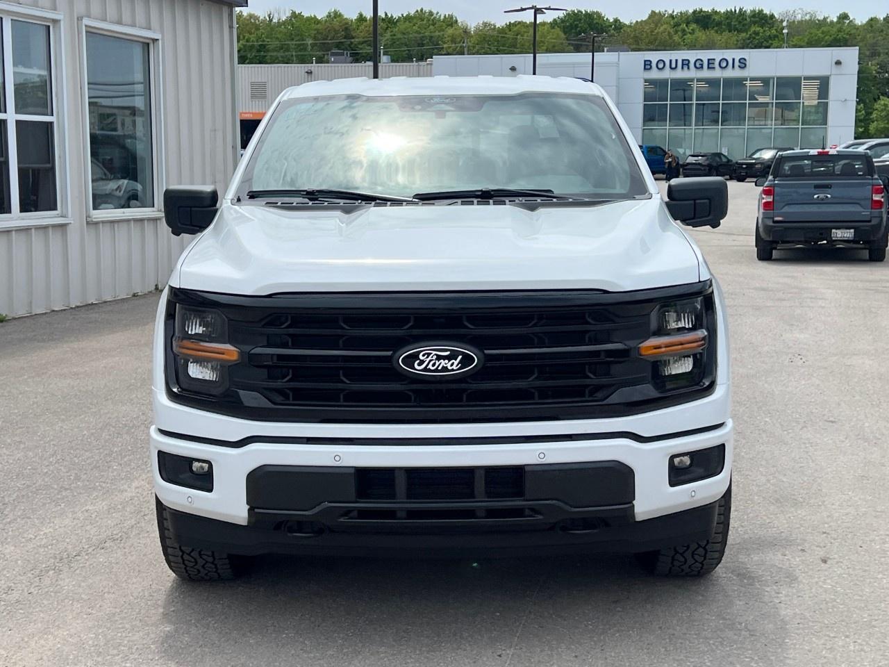 2025 Ford F-150 XLT 4WD SuperCrew 5.5' Box Photo