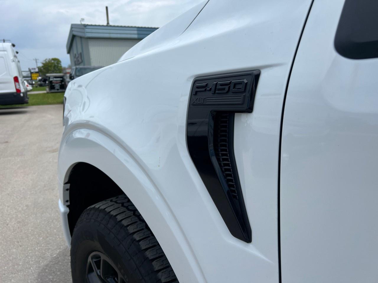 2025 Ford F-150 XLT 4WD SuperCrew 5.5' Box Photo