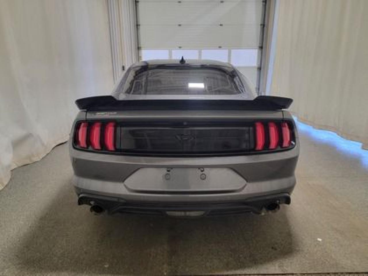 12569033