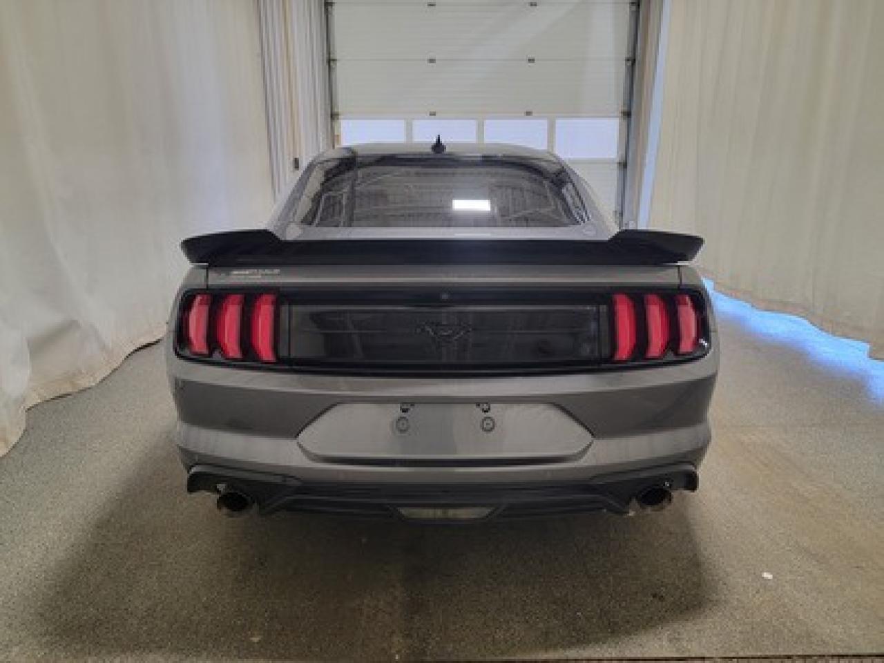 12569033