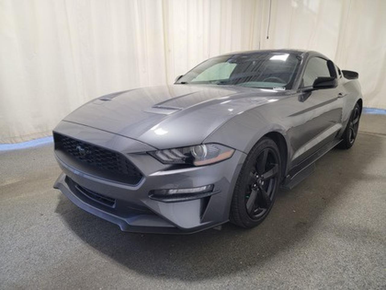 Used 2022 Ford Mustang ECOBOOST PREMIUM | BLACK ACCENT | 10 SPD AUTO | 31 for sale in Regina, SK