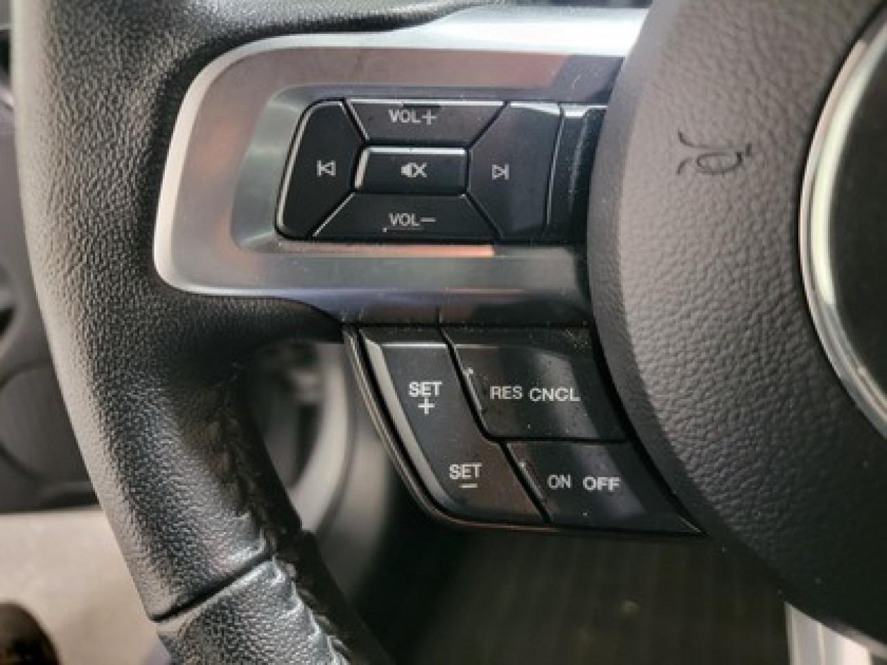 12569033