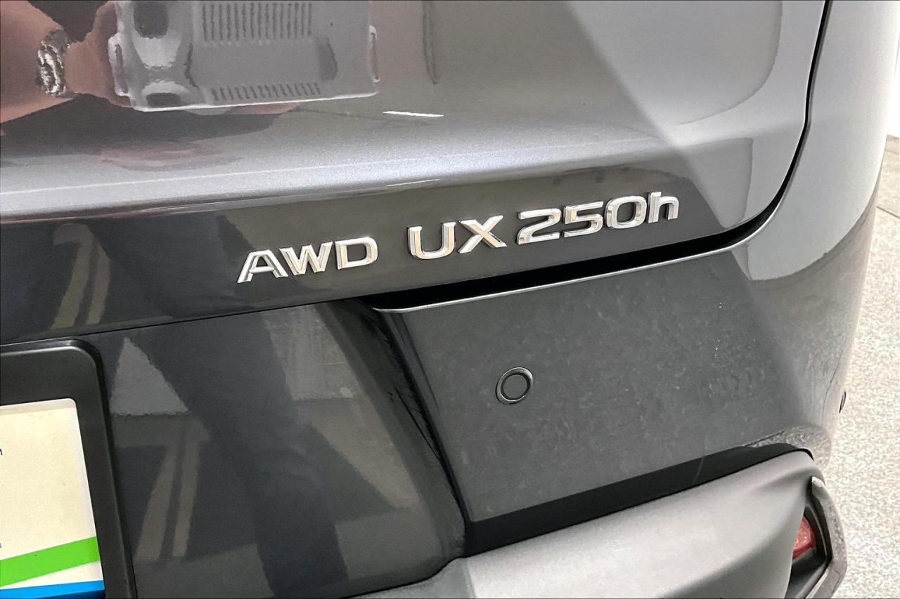 12569147