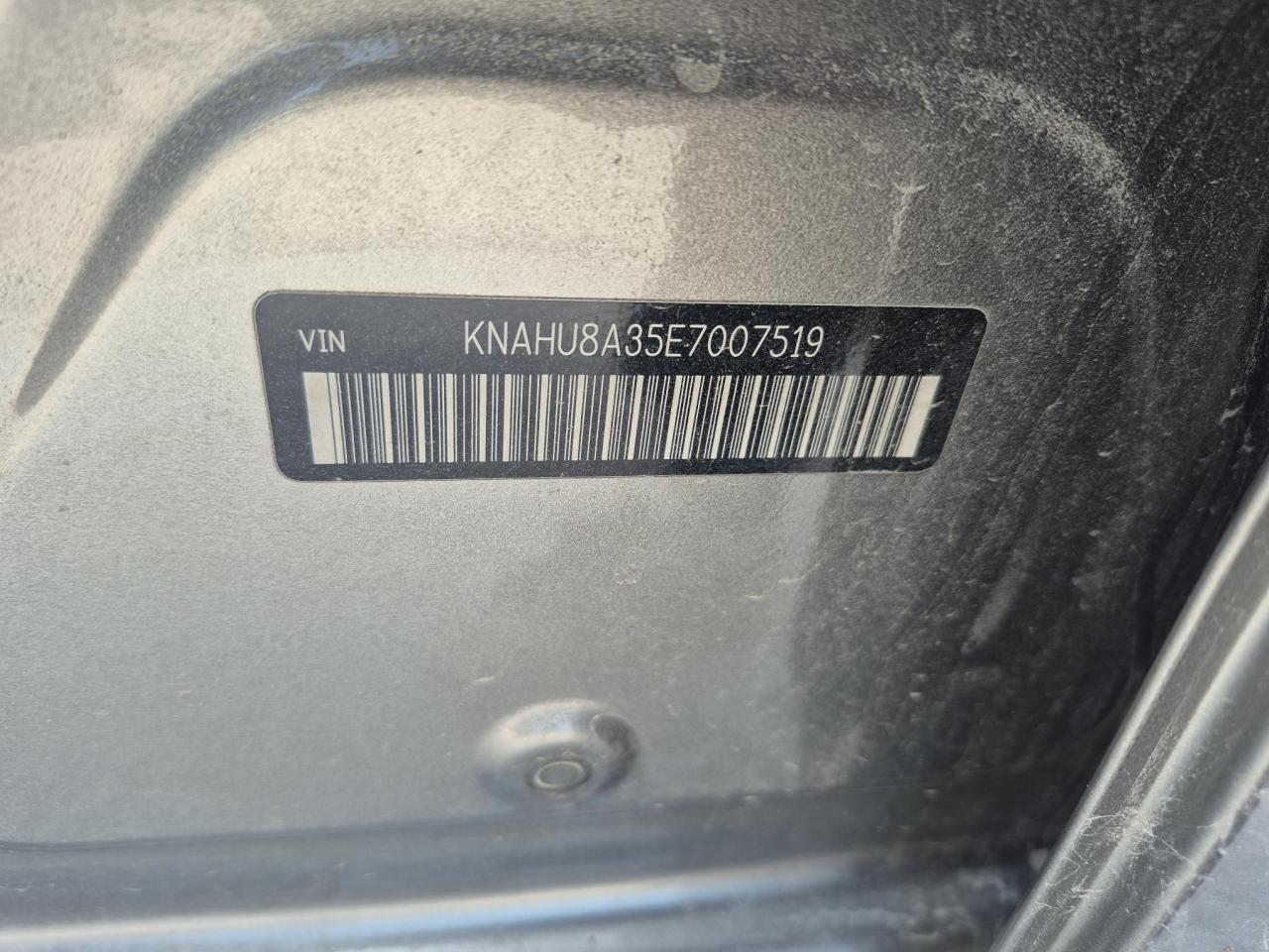 12569447