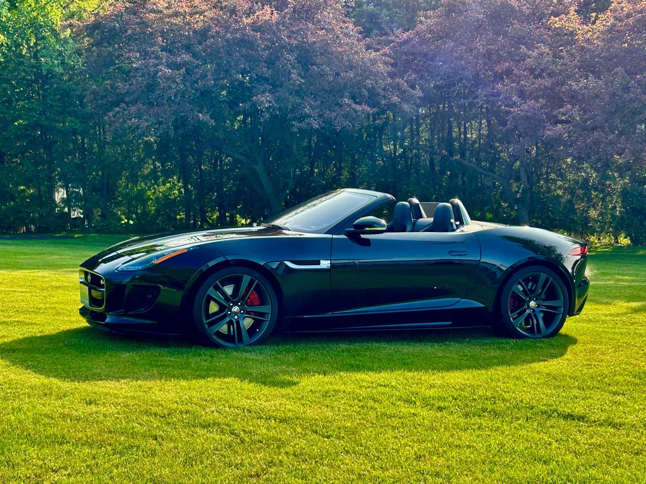 2017 Jaguar F-Type Convertible Auto S British Design Edition - Photo #8