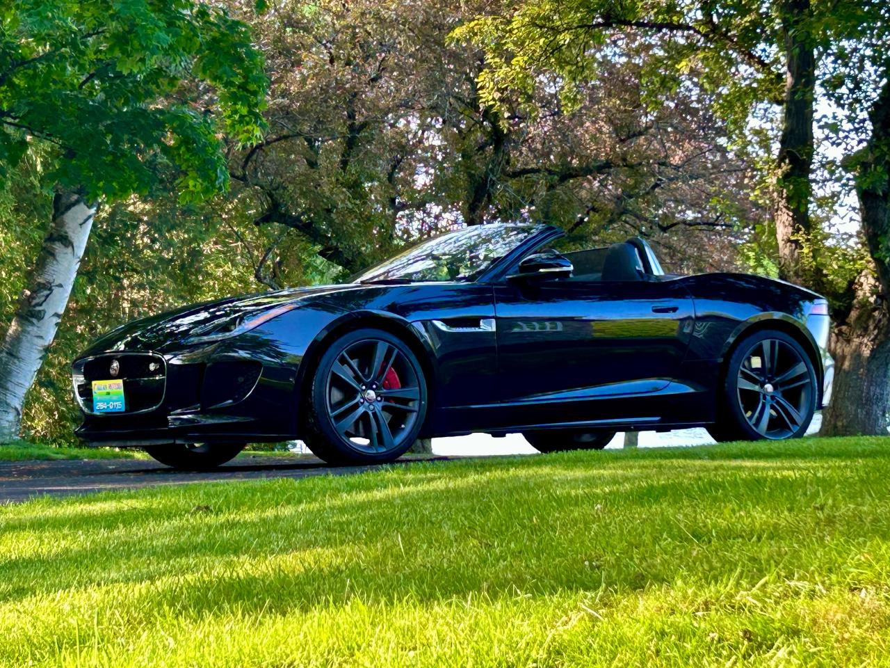 2017 Jaguar F-Type Convertible Auto S British Design Edition - Photo #16