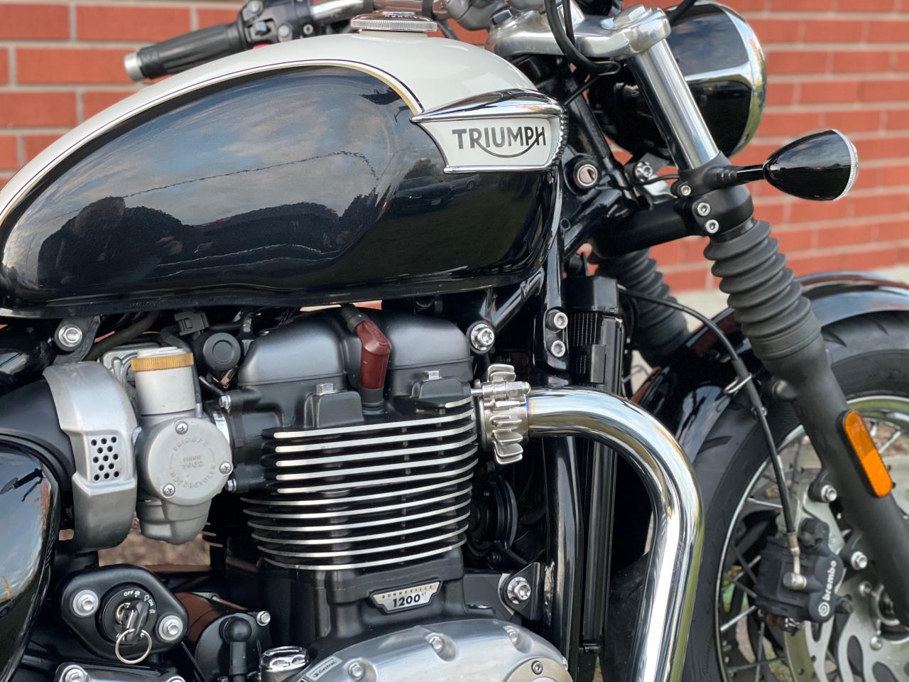 2018 Triumph Speedmaster Speedmaster 1200 Photo