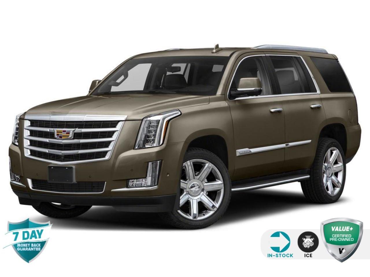 Used 2019 Cadillac Escalade Platinum | NO ACCIDENTS | TRADE IN | for sale in Tillsonburg, ON