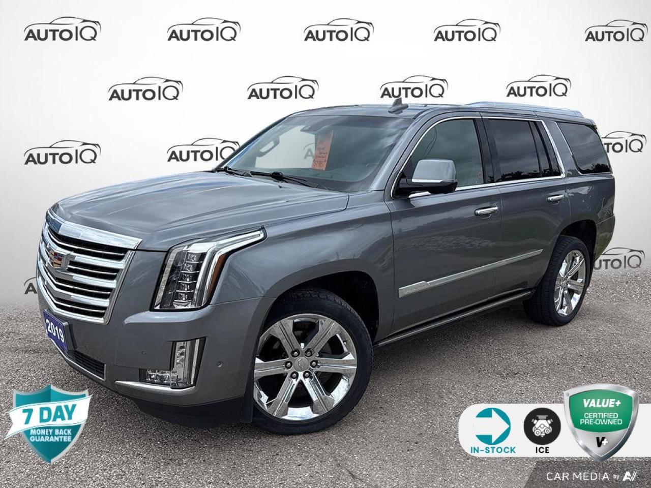 Used 2019 Cadillac Escalade Platinum | NO ACCIDENTS | TRADE IN | for sale in Tillsonburg, ON
