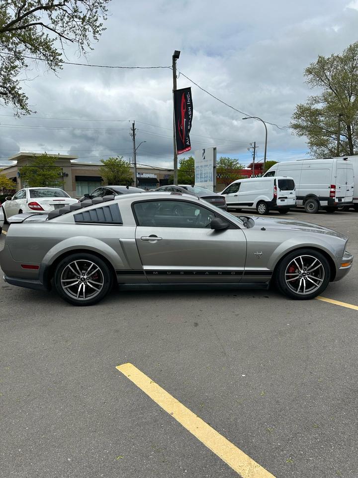 2009 Ford Mustang GT Photo