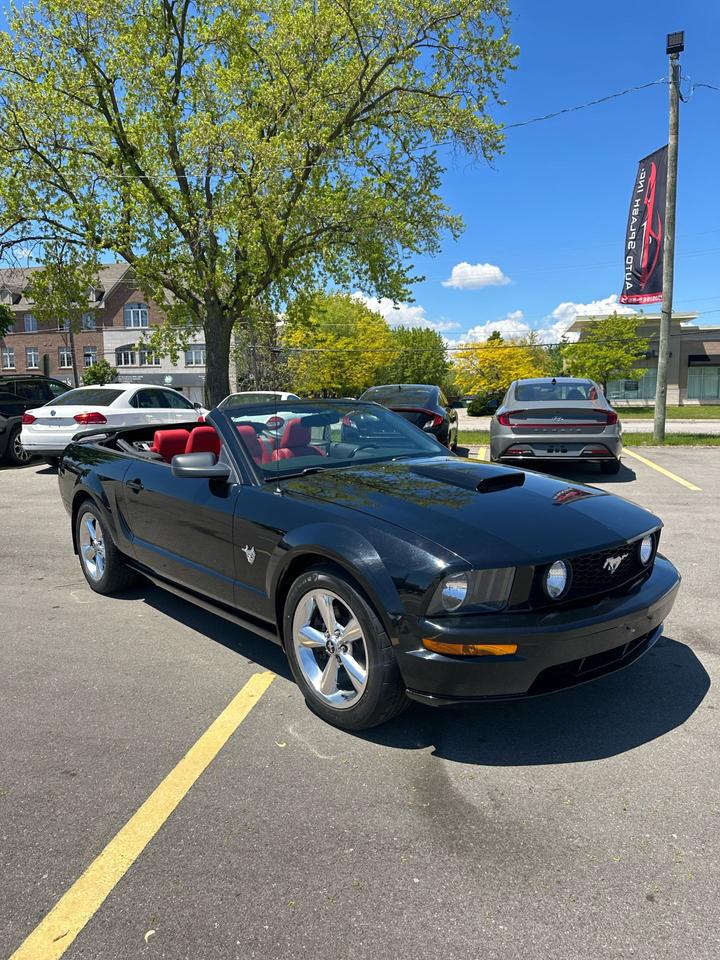2009 Ford Mustang GT 45Th Anniversary edition Photo