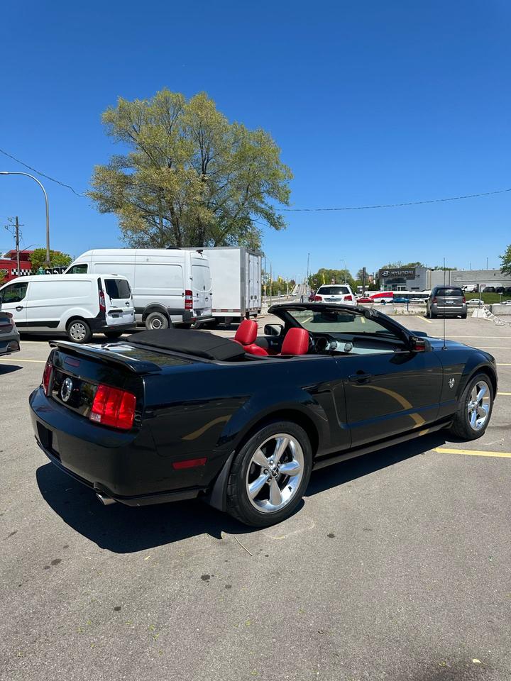 2009 Ford Mustang GT 45Th Anniversary edition Photo