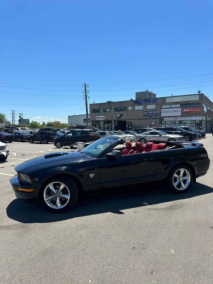 2009 Ford Mustang GT 45Th Anniversary edition Photo
