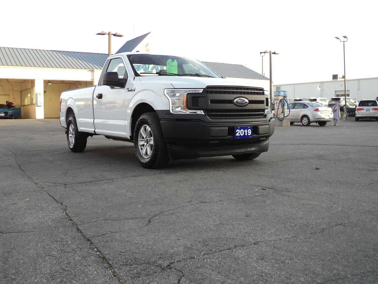 2019 Ford F-150 XL  RegCab 2WD 3.3L6cylGas 8' Box BackUpCam - Photo #4
