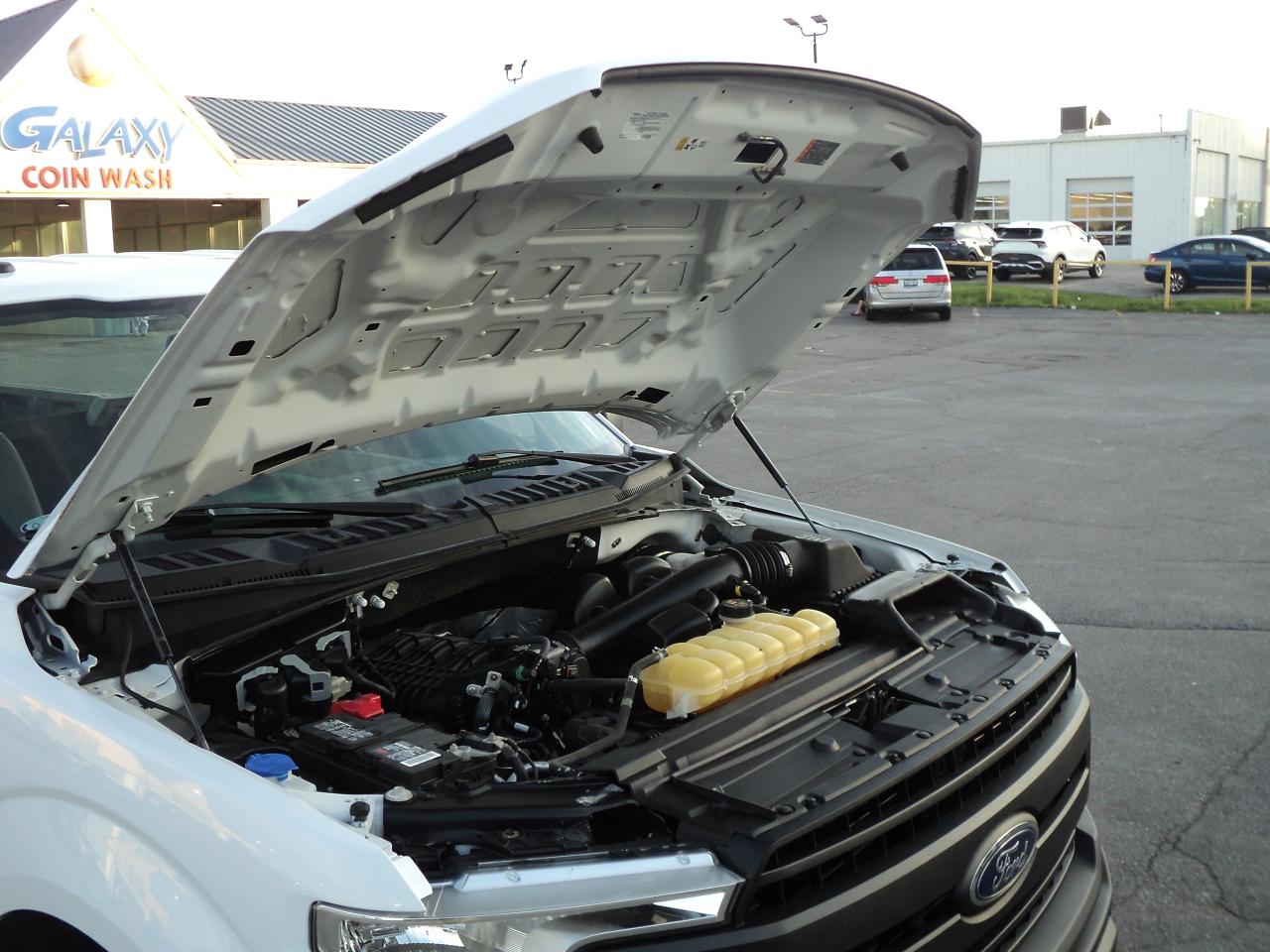 2019 Ford F-150 XL  RegCab 2WD 3.3L6cylGas 8' Box BackUpCam - Photo #24